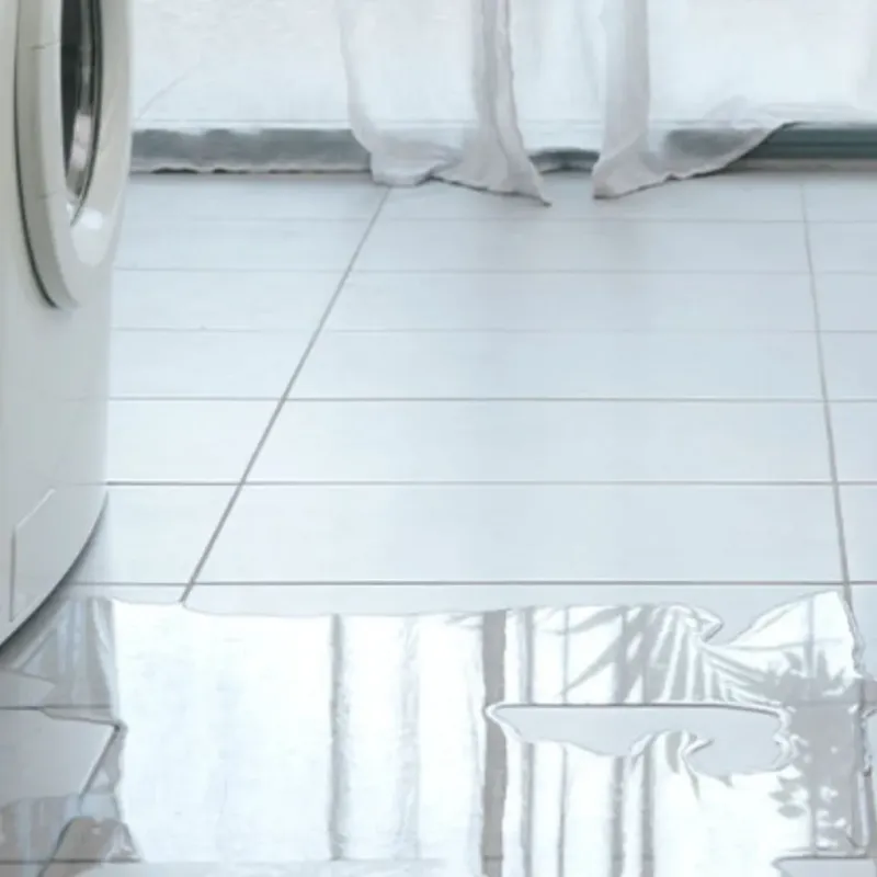 Appliance Leak Cleanup in Anderson County, TX