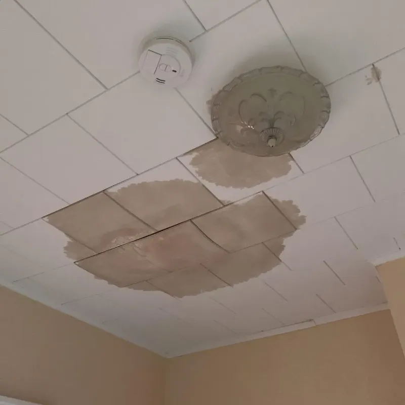 Ceiling Water Damage Repair in Anderson County, TX