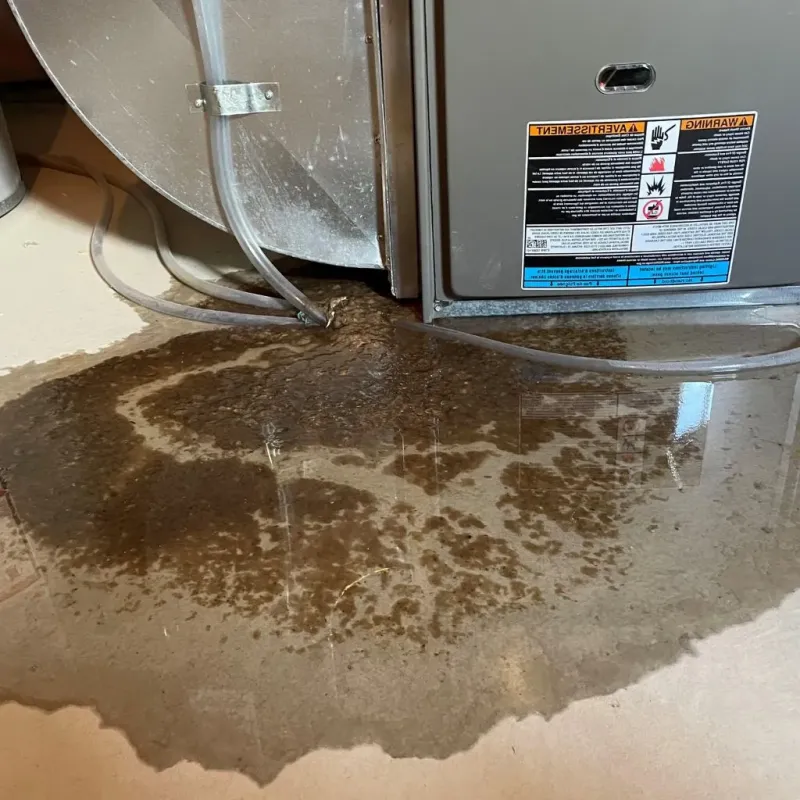 Pipe Burst and Leak Restoration in Anderson County, TX