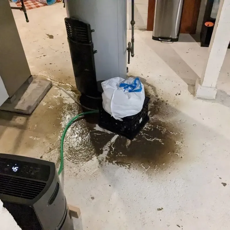 Sewage Backup Cleanup Service in Anderson County, TX